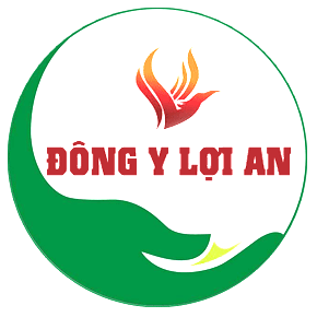 congtyloian.vn